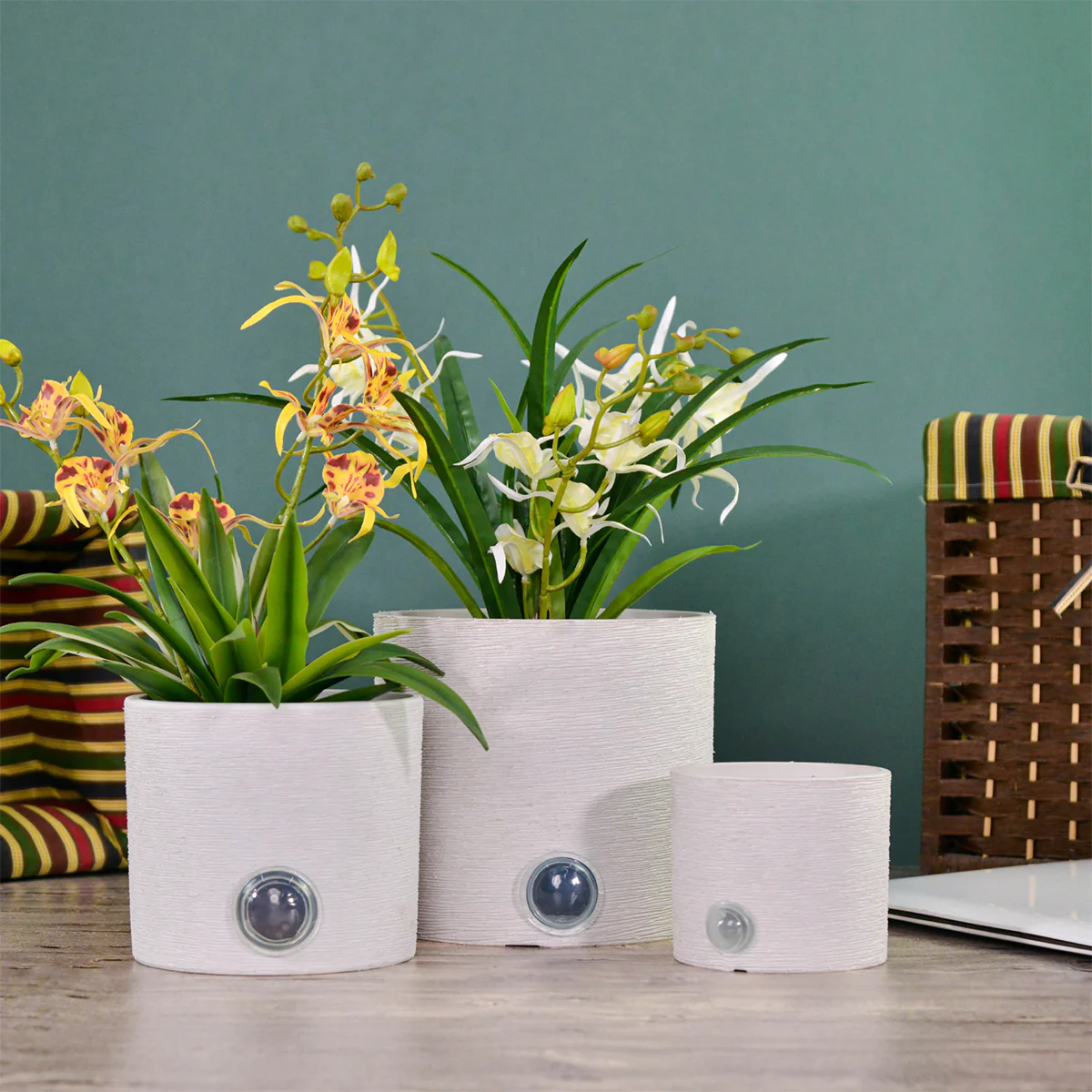Self-Watering Cylinder Pot System for Indoor Plants (Set of 3) - Image 12