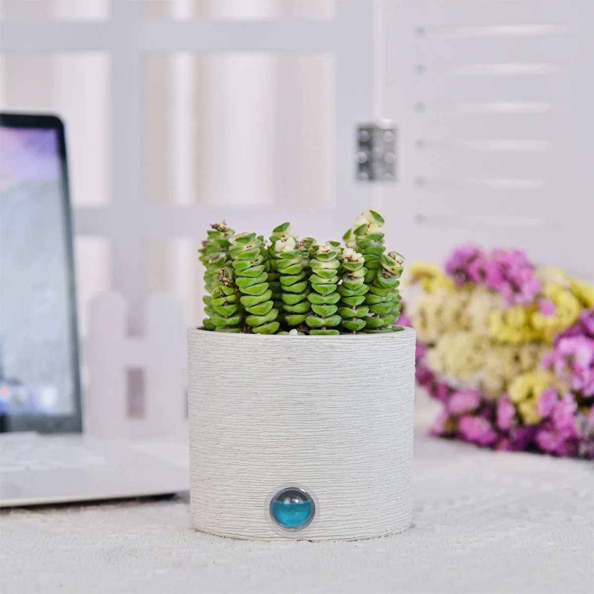 Self-Watering Cylinder Pot System for Indoor Plants (Set of 3) - Image 13