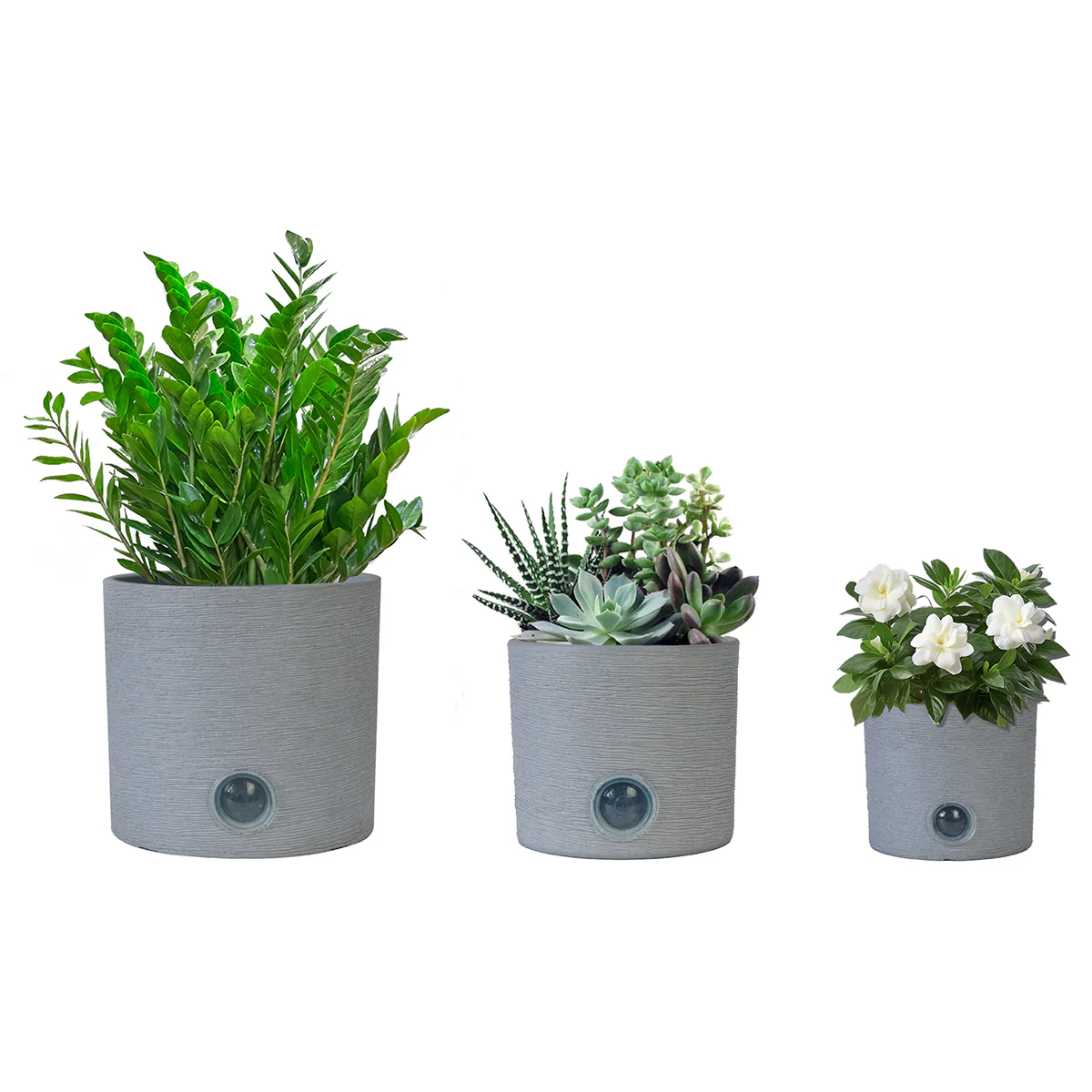 Self-Watering Cylinder Pot System for Indoor Plants (Set of 3) - Image 2
