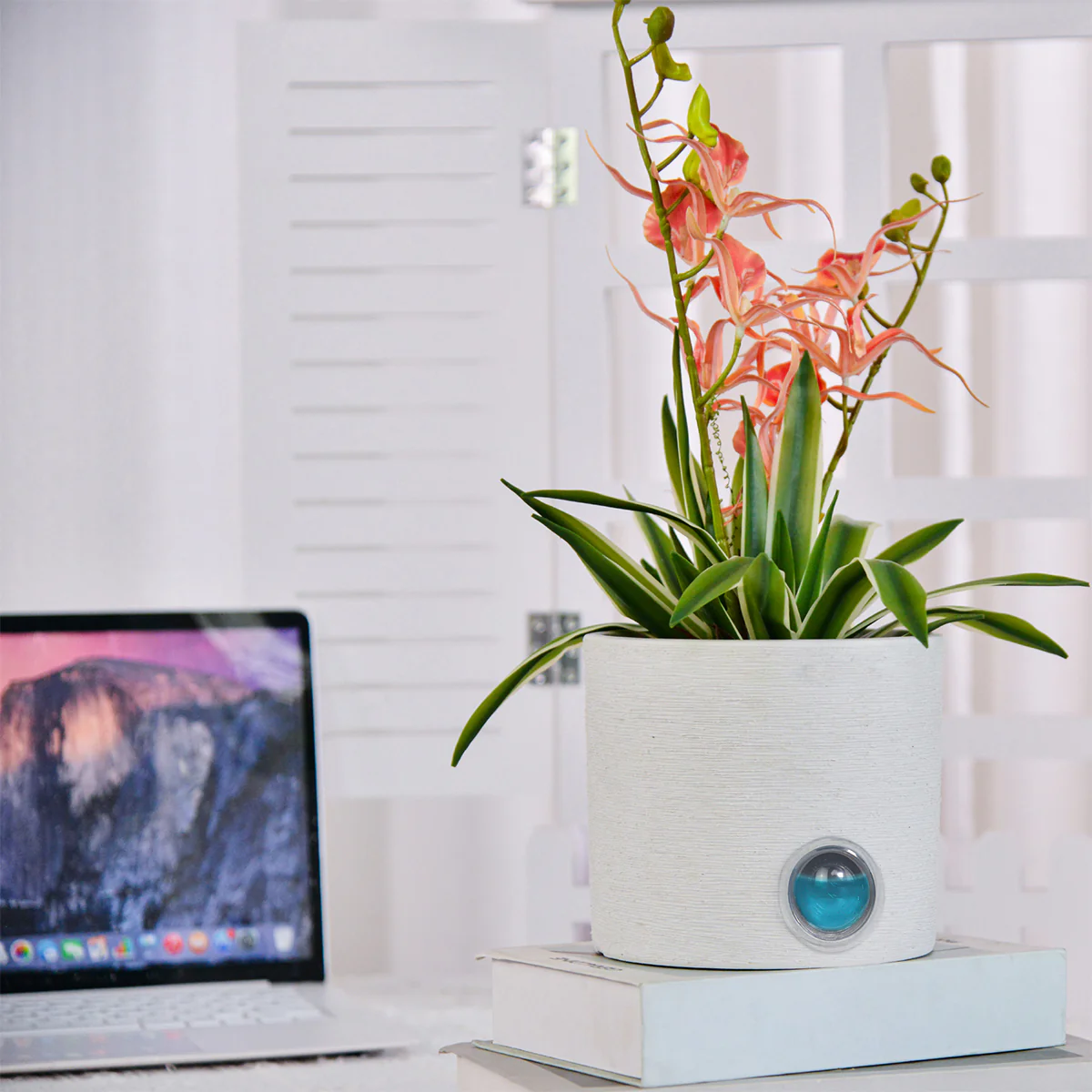 Self-Watering Cylinder Pot System for Indoor Plants (Set of 3) - Image 9