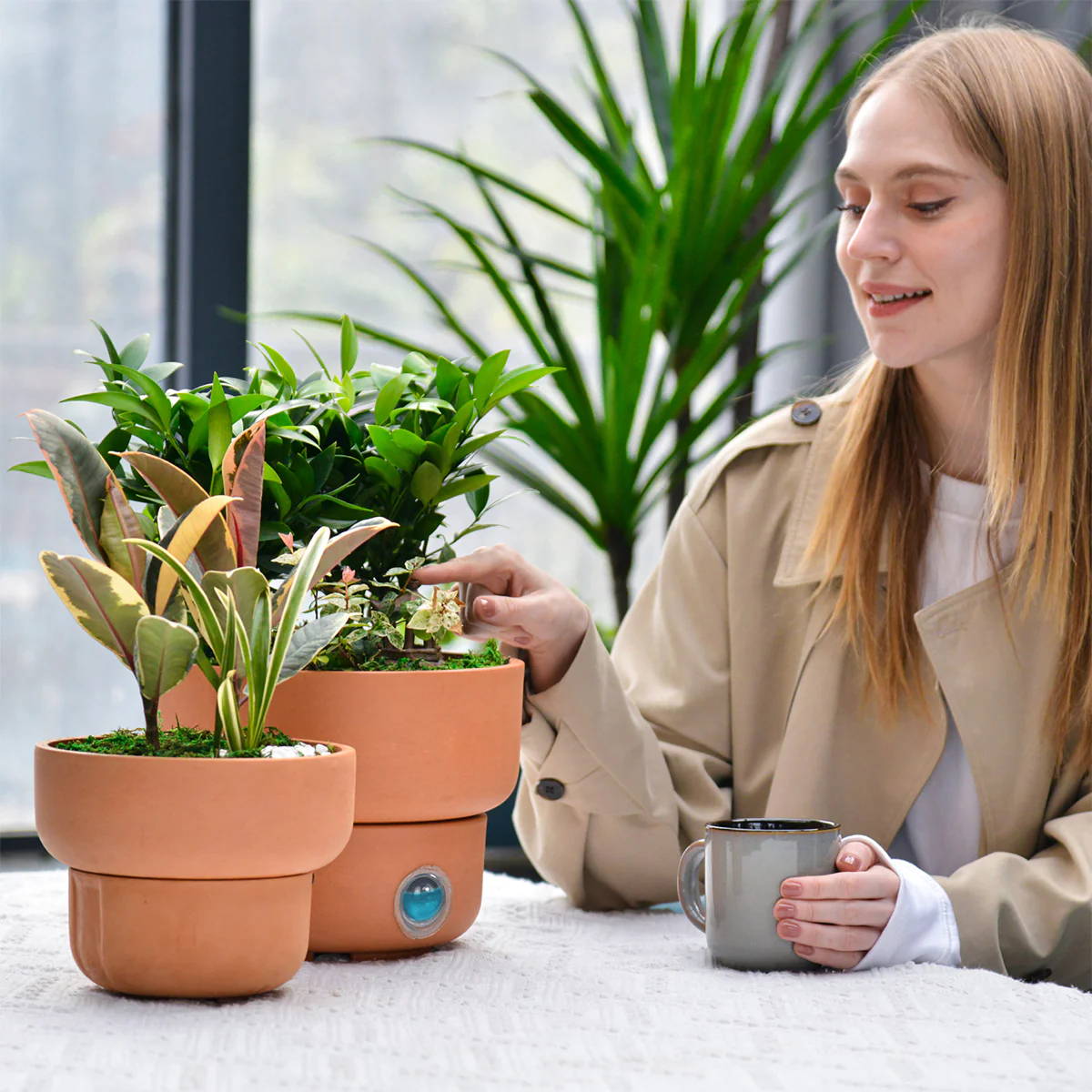 Self-Watering Low Bowl Pot System for Indoor Plants (Set of 2) - Image 11