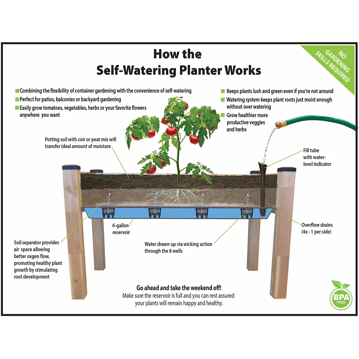 Self-Watering Planter - Image 3