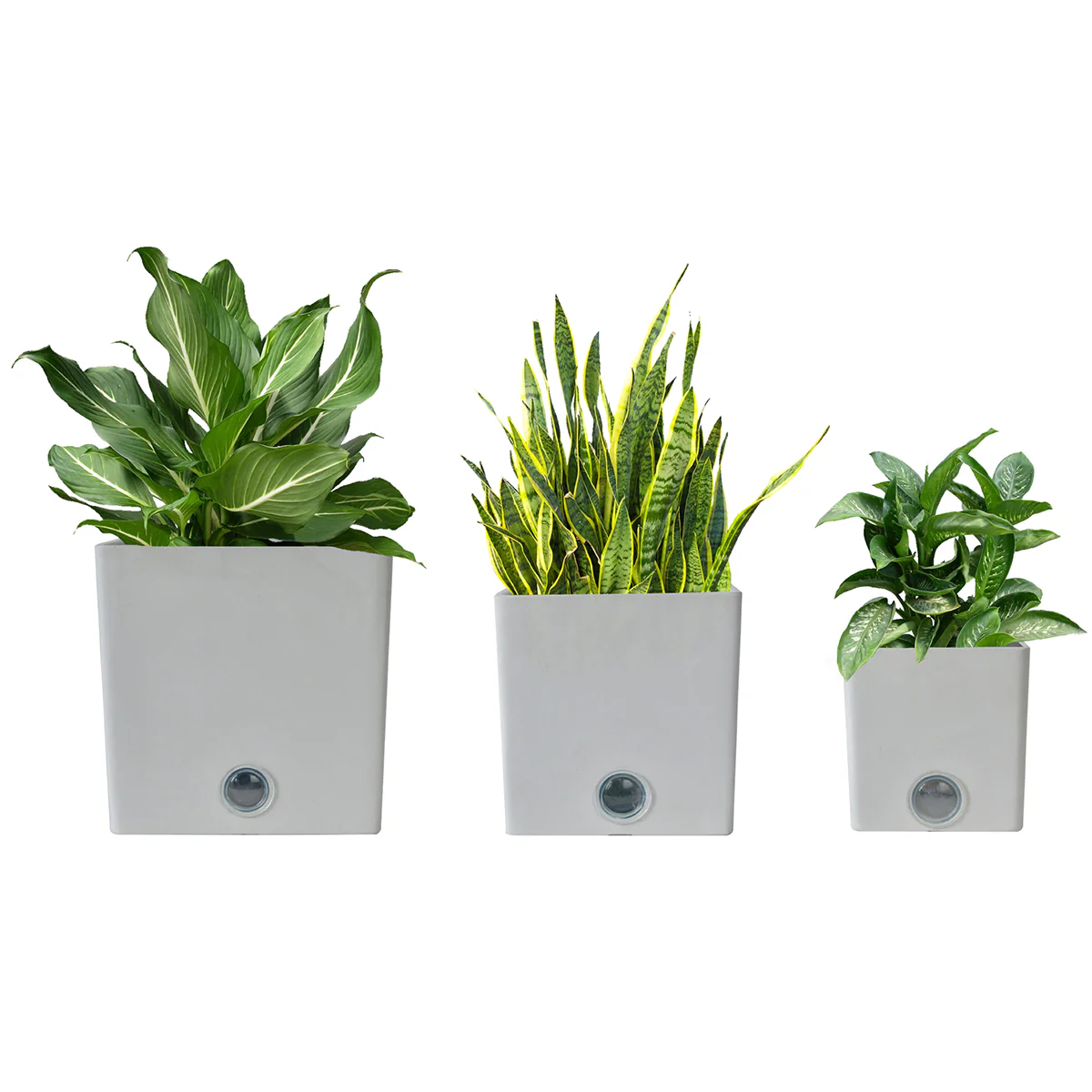 Self-Watering Square Pot System for Indoor Plants (Set of 3) - Image 2