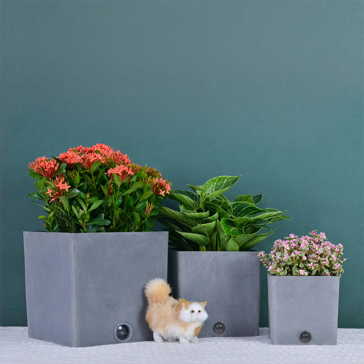 Self-Watering Square Pot System for Indoor Plants (Set of 3) - Image 8