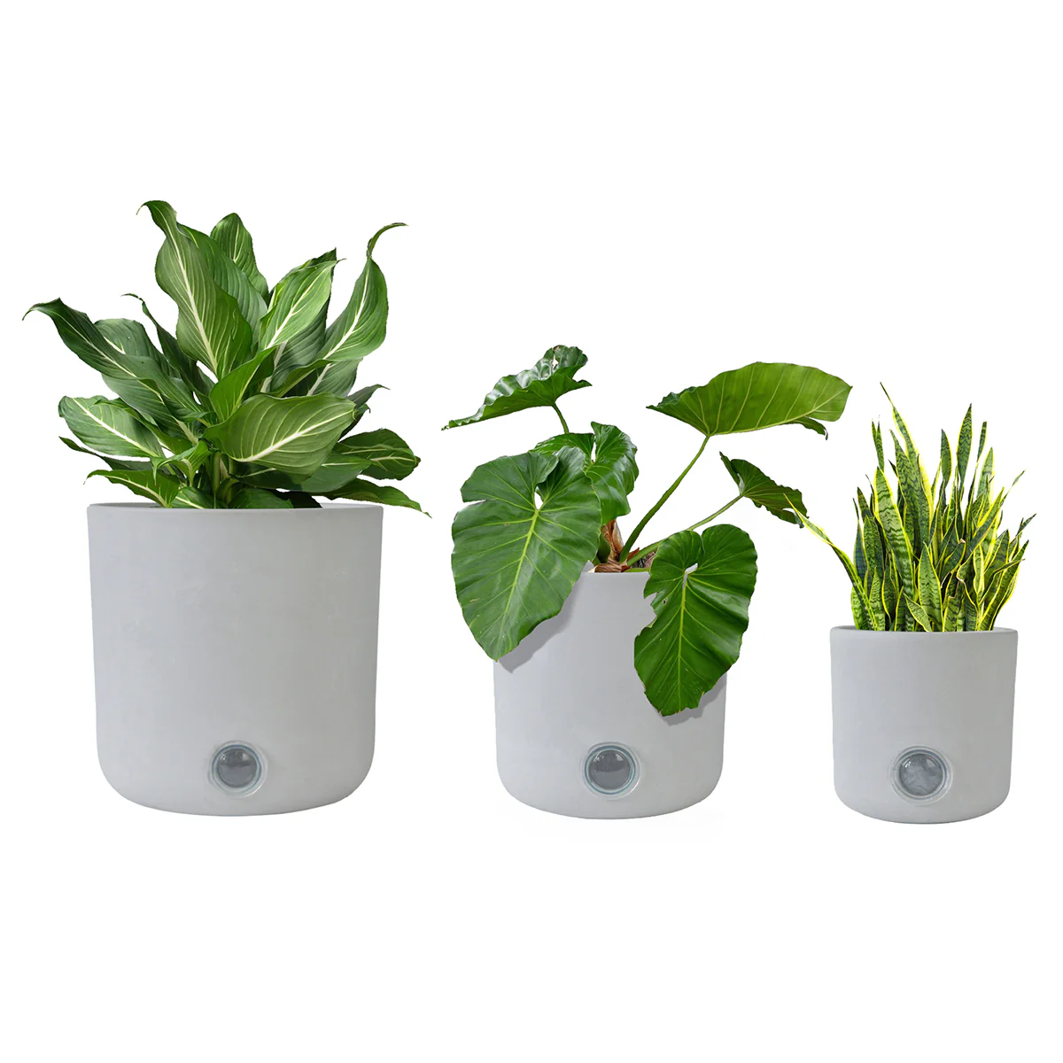 Self-Watering Tall Cylinder Pot System for Indoor Plants (Set of 3) - Image 13