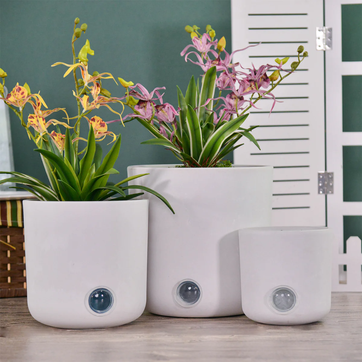Self-Watering Tall Cylinder Pot System for Indoor Plants (Set of 3) - Image 14