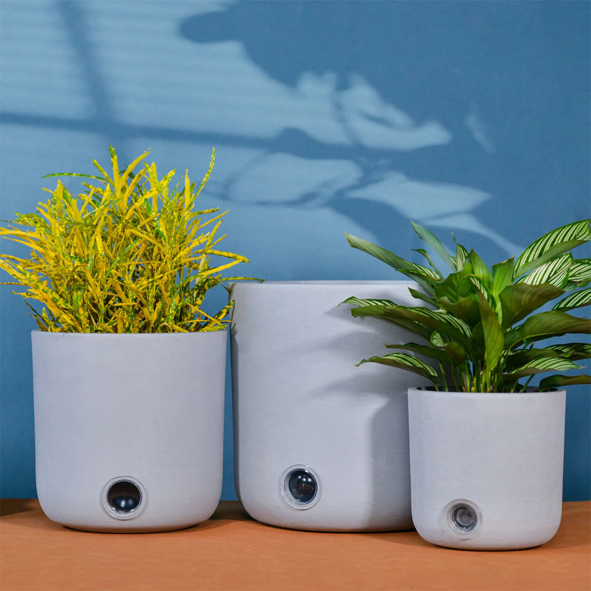 Self-Watering Tall Cylinder Pot System for Indoor Plants (Set of 3) - Image 7