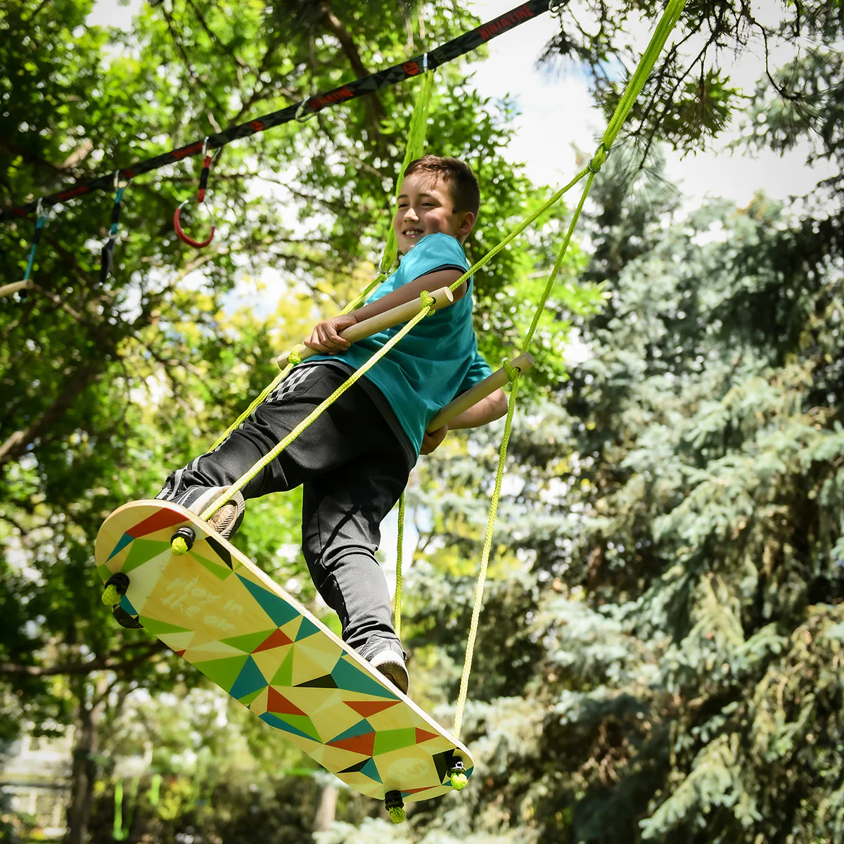 Skateboard Swing - Image 4
