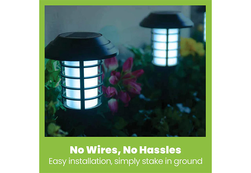 Solar Pathway Lights (Set of 4) - Image 10