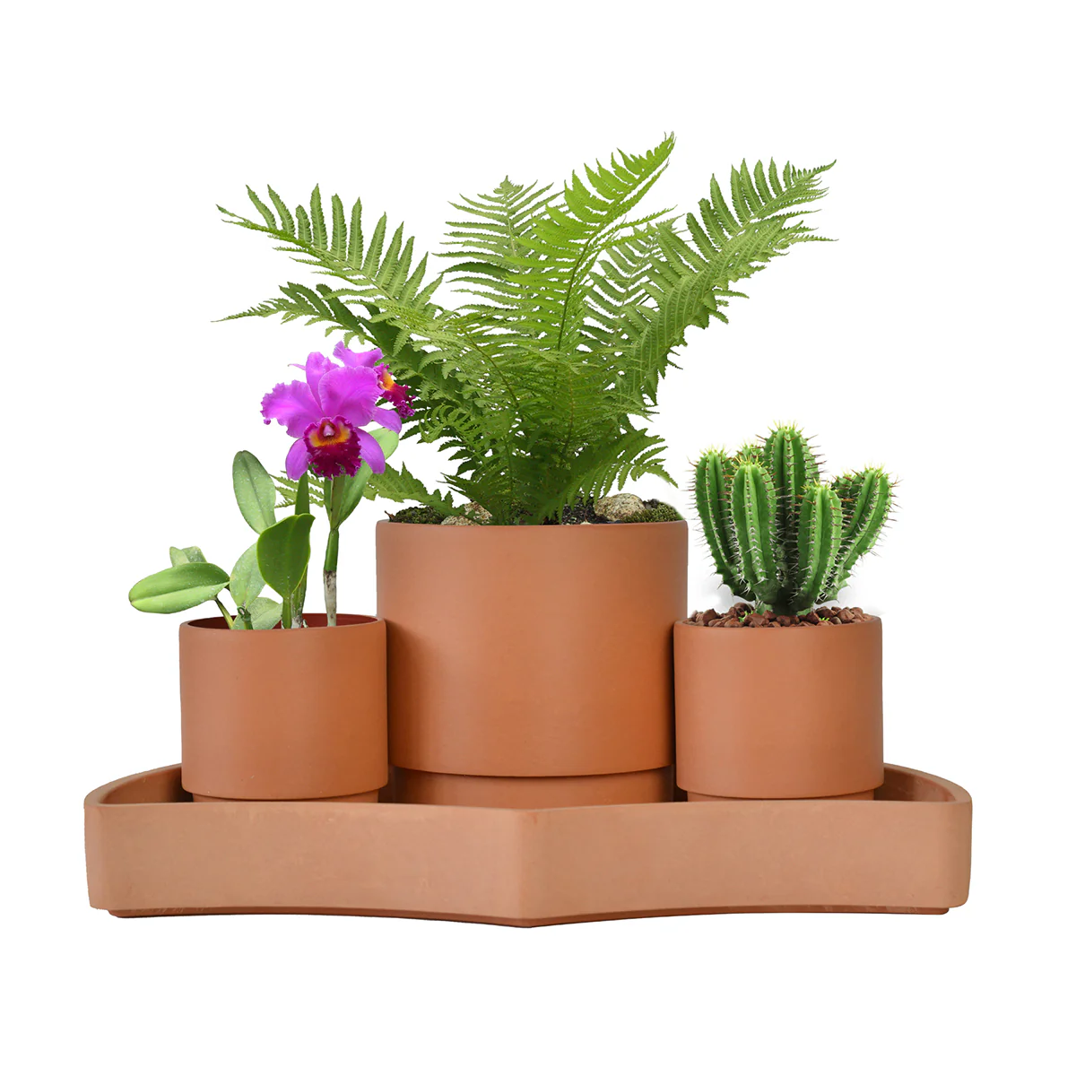 Tabletop Self-Watering Pot System for Indoor Plants (Set of 3) - Image 2