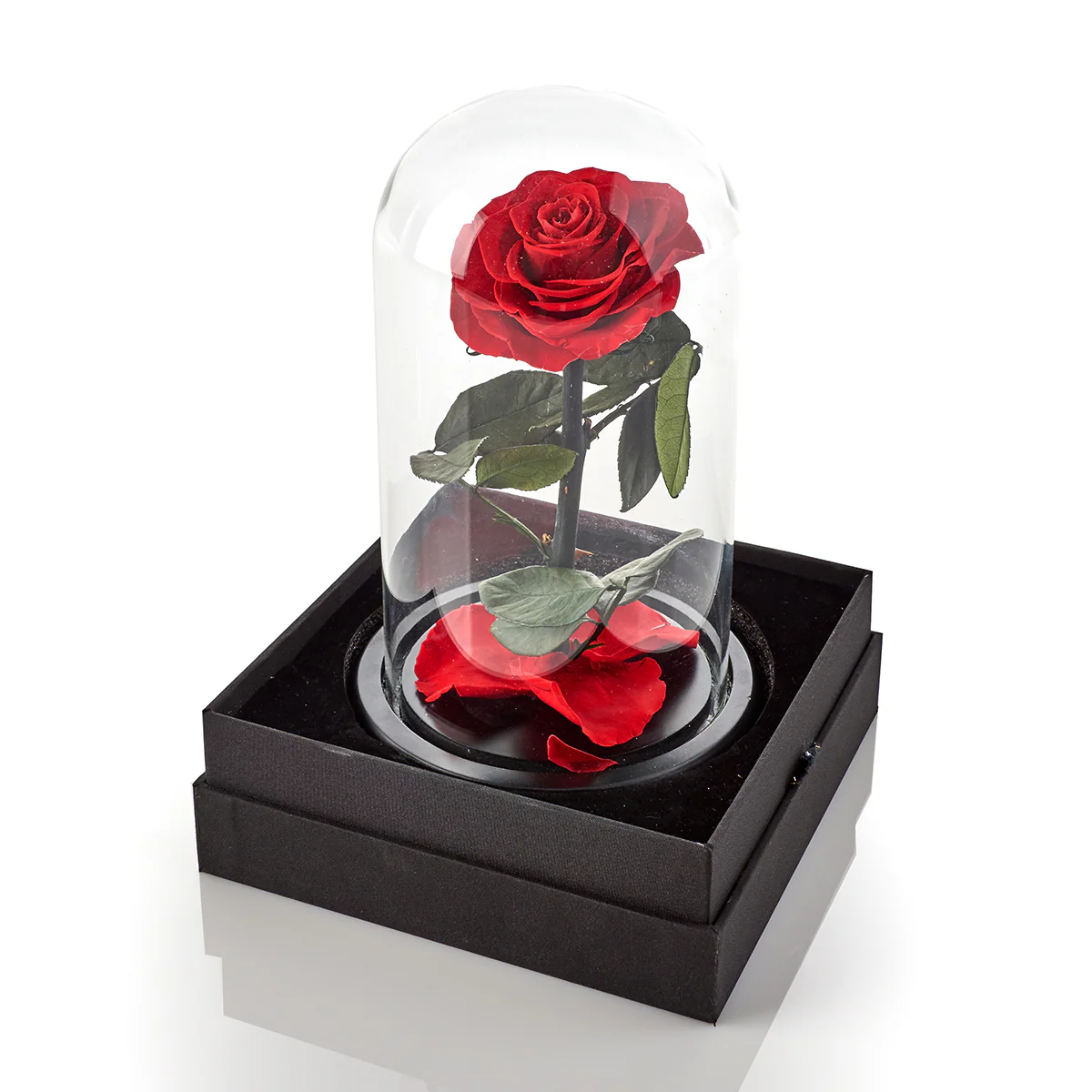Timeless Rose by Sharper Image - Image 4
