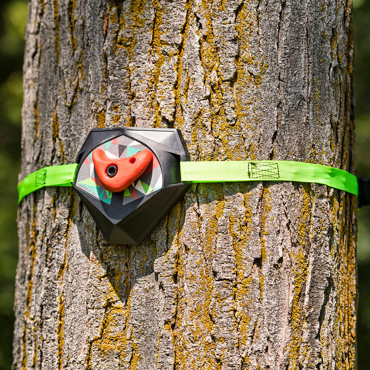 Tree Climbers Kit - Image 2