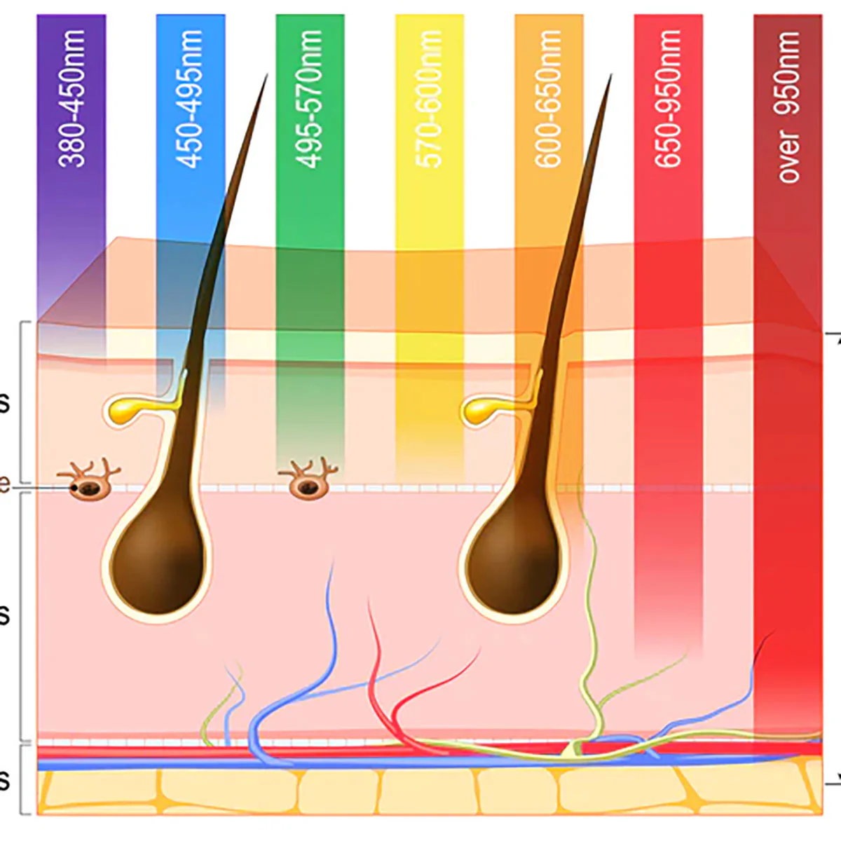 Ultimate LED Light Therapy Device - Image 4