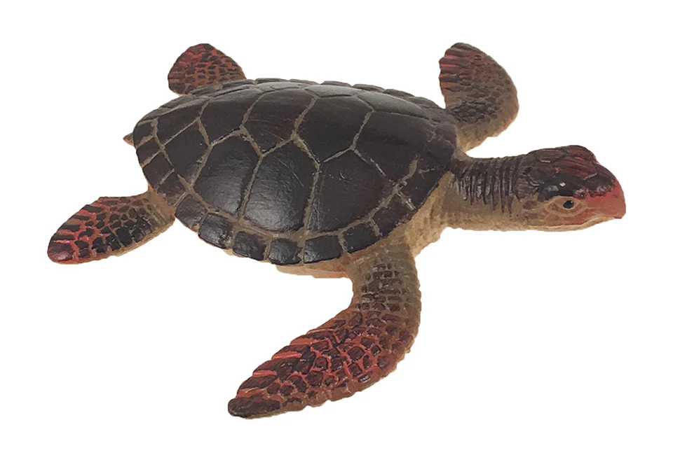 Undersea 4D Interactive Smart Set - Image 7