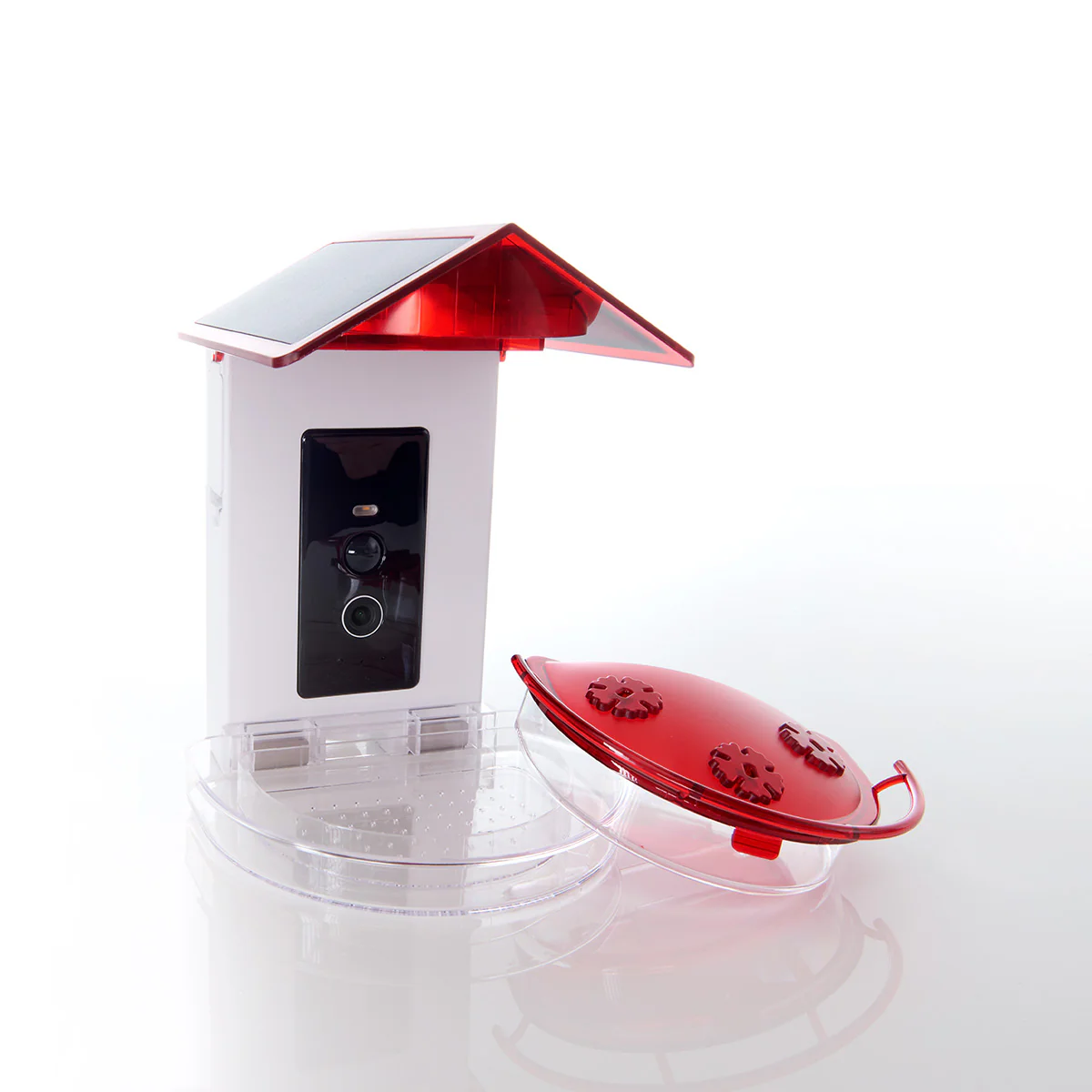 Video Camera Hummingbird Feeder by Sharper Image - Image 9